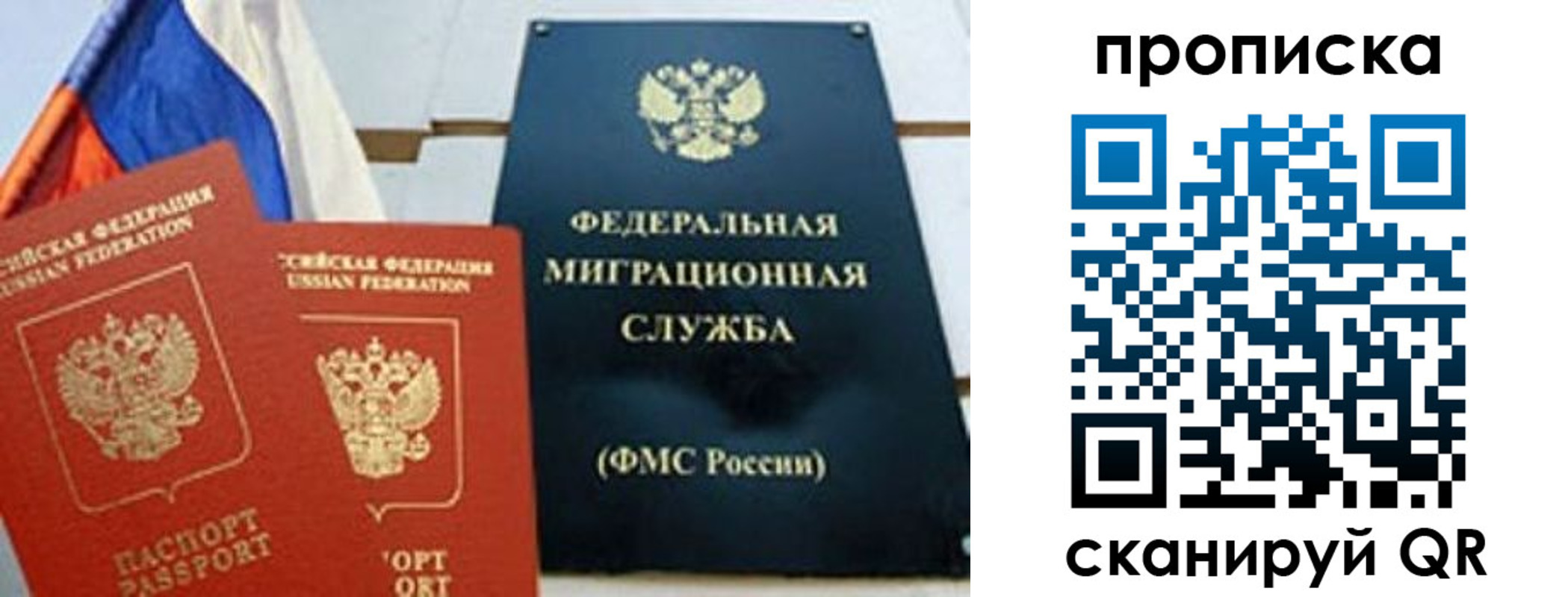 где прописаться в Дмитрове